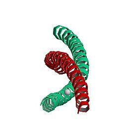 PBB Protein MYH7 image.jpg