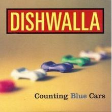 Counting Blue Cars.jpg