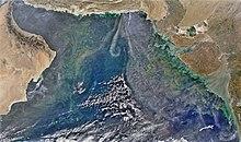 Phytoplankton bloom over the Arabian Sea