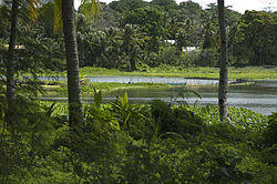 Buada Lagoon, Nauru 2007.jpg