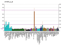 PBB GE CD46 211574 s at fs.png
