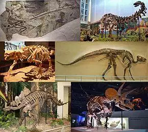 Dinosauria montage 2.jpg