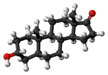 Ball-and-stick model of the androsterone molecule