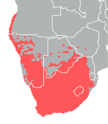 Passer melanurus distribution.svg