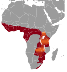 Thryonomys range map.png