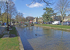 River Windrush - geograph.org.uk - 1341404.jpg