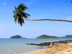 Kohmak.jpg