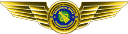 US - FAA Astronaut Wings.png