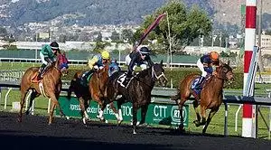 GGF Race5.jpg