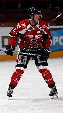 Finale de la coupe de France de Hockey sur glace 2013 - 080.jpg