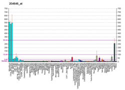PBB GE DPYD 204646 at fs.png