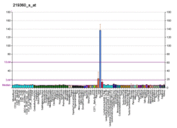 PBB GE TRPM4 219360 s at fs.png