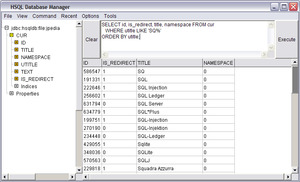 HSQL Database Manager