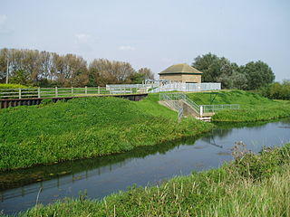 RiverGlenTongueEnd.jpg
