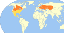 Chlidonias niger map.svg