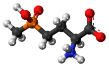 Ball-and-stick model of the glufosinate zwitterion