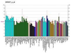 PBB GE NOTCH3 203237 s at fs.png