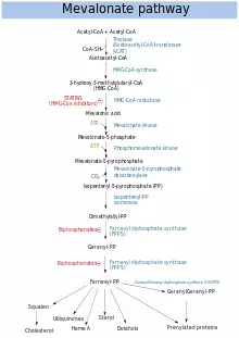 Chemical flow chart