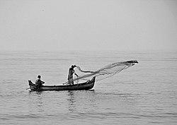 Fishing with cast-net from a boat near Kozhikode Beach.jpg