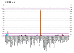 PBB GE CDKN1C 213182 x at fs.png
