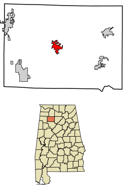 Location of Double Springs in Winston County, Alabama.