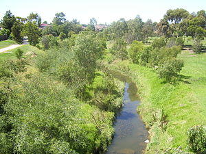 Kororoit Creek.jpg