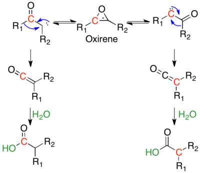 Isotopic scrambling of 13C labeled ketocarbene via symmetric oxirene.