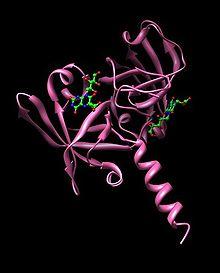 Monomer With Ligands.jpg