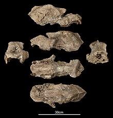 OR39721-S.jpg