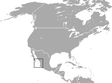 Tres Marias Cottontail area.png