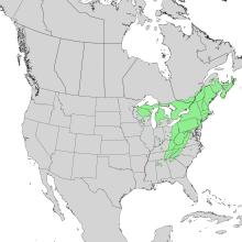 Tsuga canadensis range map 1.png