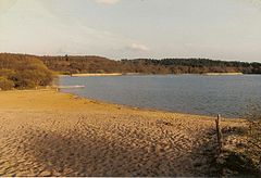Frensham Great Pond - geograph.org.uk - 276897.jpg
