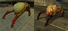 Headcrab.jpg