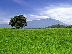 View of Mount Iwate from Koiwai farm park