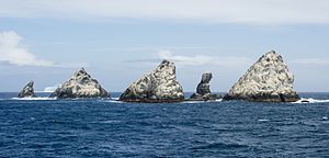 SGI-2016-South Georgia–Shag Rocks 01.jpg