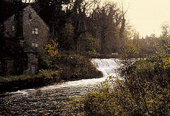 River Lathkill at the Mill Pond, Alport.jpg
