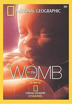 In the womb dvd.jpg