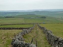 Limestone Way heads downhill.jpg