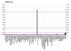 PBB GE SERPINF2 205075 at fs.png