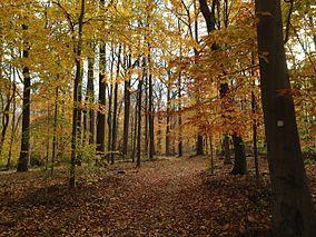 Watchung Reservation in the Fall 2013-11-05 01.jpg
