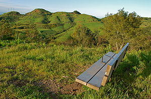 Grizzly Bench.jpg