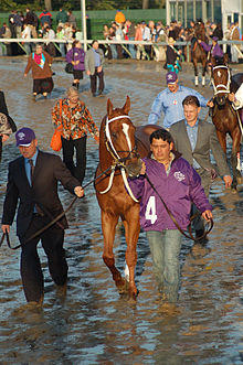 BreedersCupClassic2007-CurlinPaddock.jpg