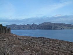 Clear Felling at Bloody Bay - geograph.org.uk - 971825.jpg