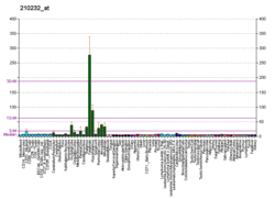 PBB GE CDC42 210232 at fs.png