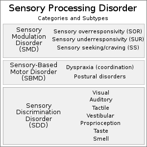 20200711 Sensory Processing Disorder (SPD) - categories and subtypes.svg
