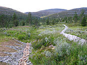 Pallastunturi Finland.jpg