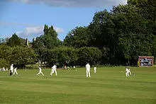 cricket match in progress