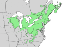 Rhus typhina range map 4.png