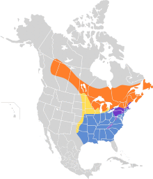 Troglodytes hiemalis map.svg