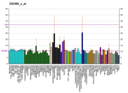 PBB GE MDM2 205386 s at fs.png